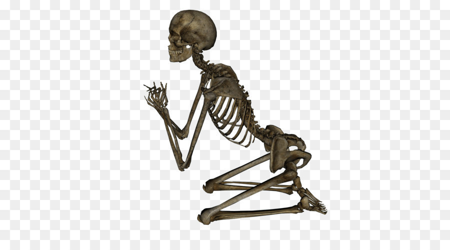 Human skeleton - Skeleton Png Image png download - 2400*1800 - Free Transparent Human Skeleton png Download.