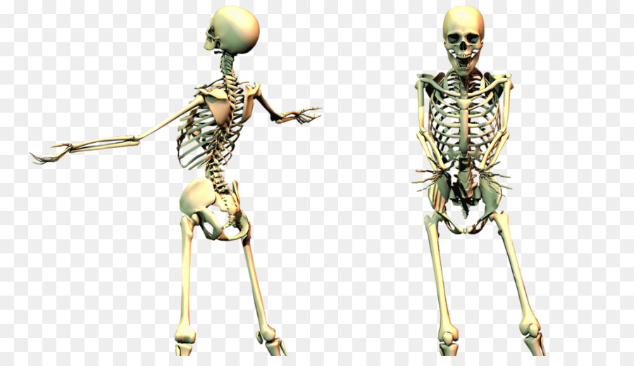 Jump scare Skeleton Clip art - others png download - 1024*576 - Free Transparent Jump Scare png Download.