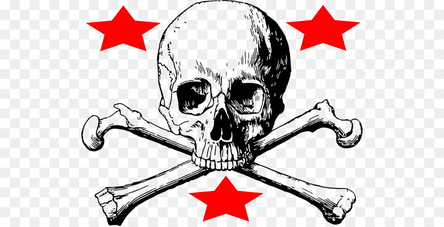 Skull and Bones Skull and crossbones Anatomy - skull png download - 670*458 - Free Transparent Skull And Bones png Download.