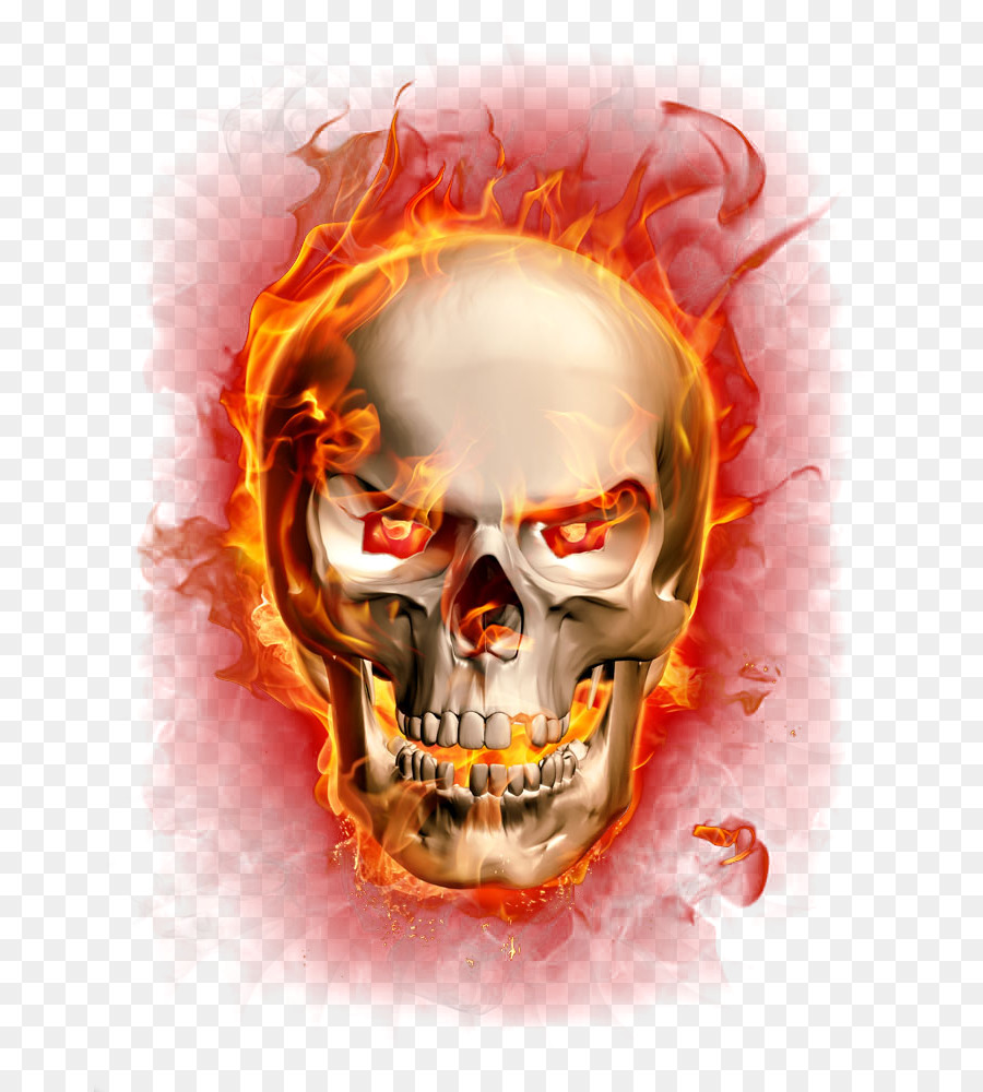Flame Fire Combustion - Flame Skull png download - 727*1000 - Free Transparent  png Download.