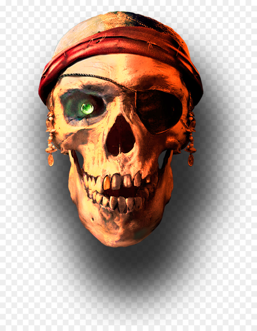 Skull APUS Group Jolly Roger - Pirate Skull png download - 1091*1383 - Free Transparent Skull png Download.