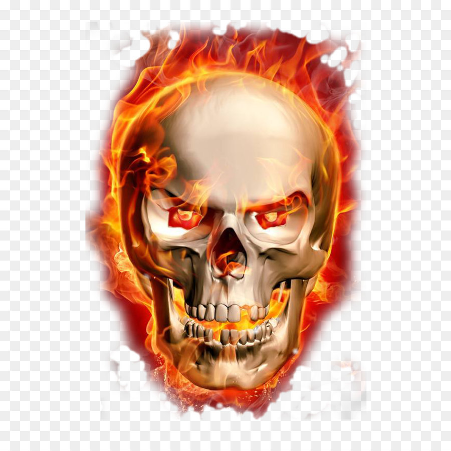 Burning Skeleton png download - 745*1024 - Free Transparent Flame png Download.