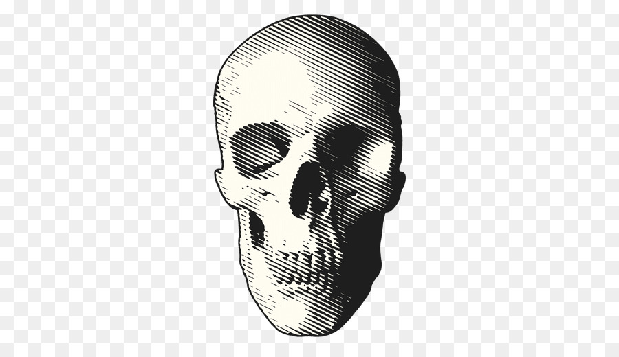 Death Day of the Dead Skull Clip art - skull png download - 512*512 - Free Transparent Death png Download.