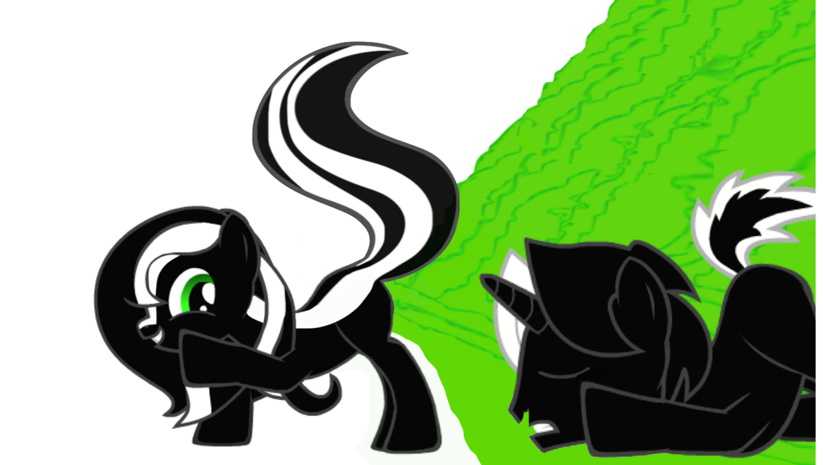 Skunk pony