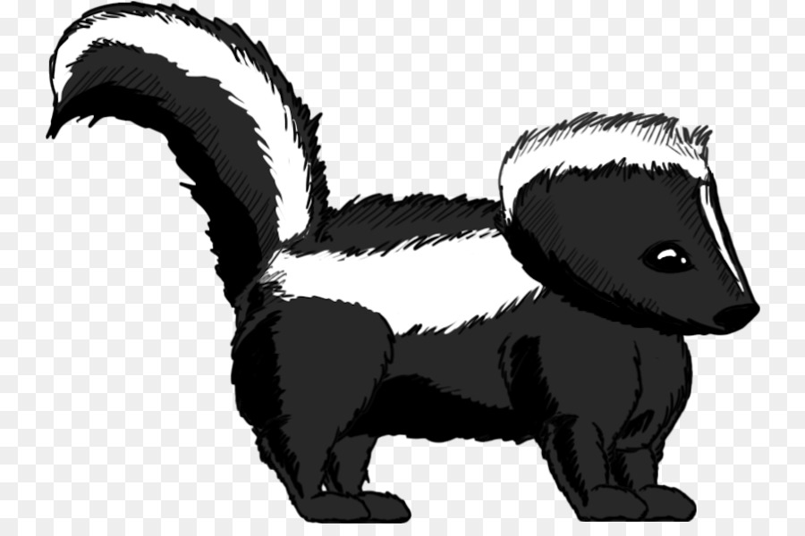 Striped skunk Whiskers Badger - skunk png download - 800*586 - Free Transparent Skunk png Download.