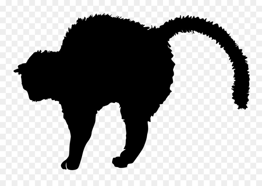 Black cat Silhouette Kitten Clip art - black cat png download - 2400*1691 - Free Transparent Cat png Download.
