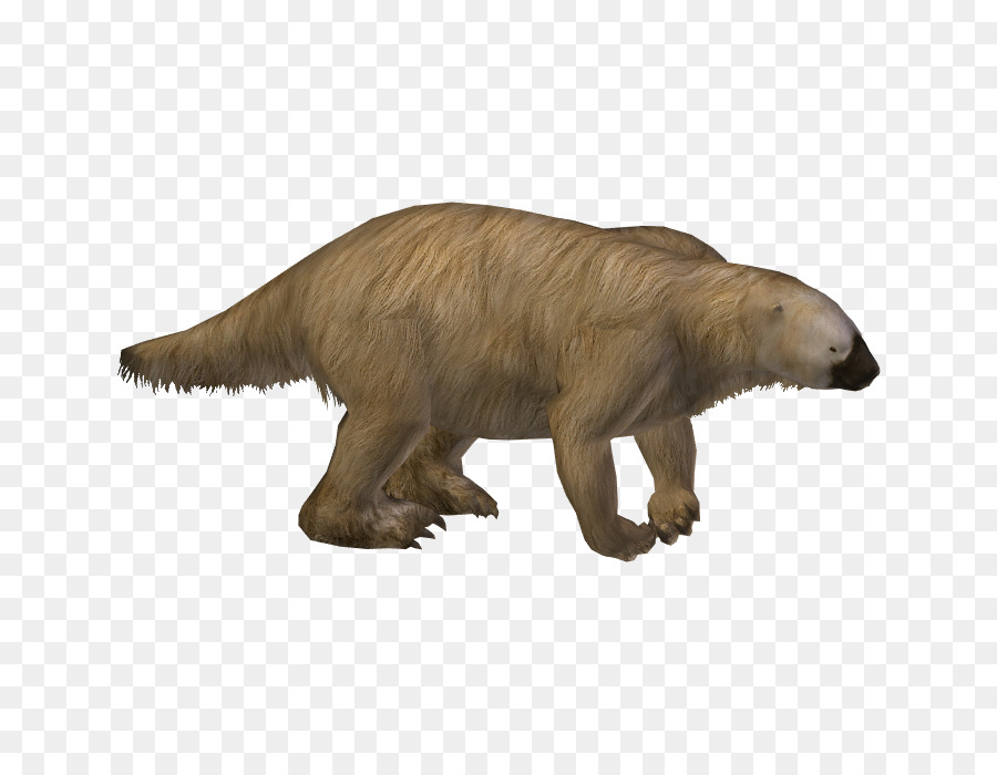 Sloth Transparent Background