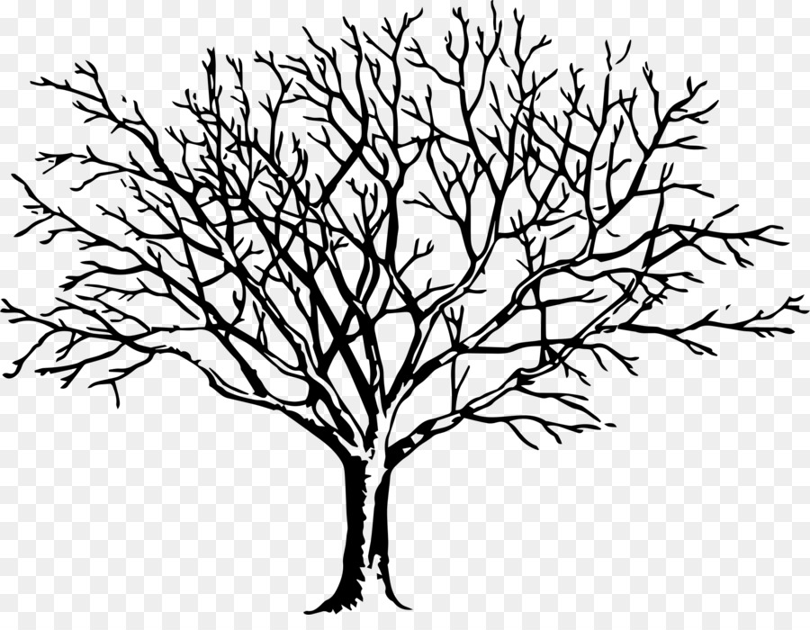 Clip art Drawing Tree Free content Image -  png download - 2092*1588 - Free Transparent Drawing png Download.