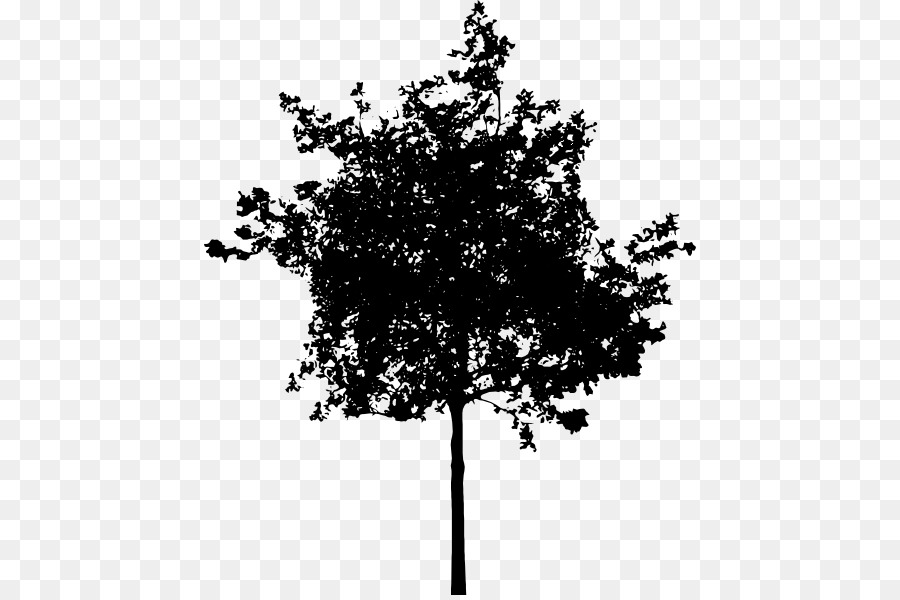Free Small Tree Silhouette, Download Free Small Tree Silhouette png ...
