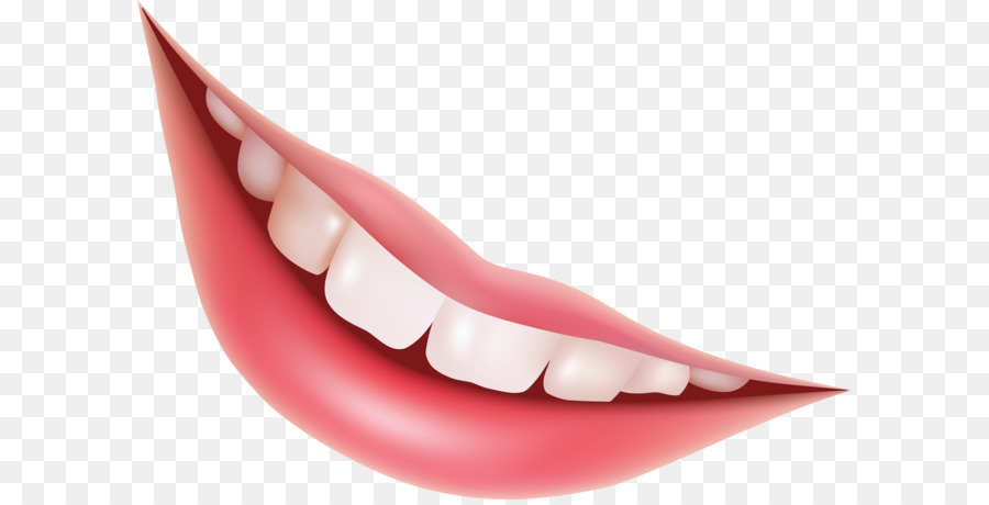 Mouth Lip Euclidean vector Smile - Smile mouth PNG png download - 2763*1934 - Free Transparent Mouth png Download.