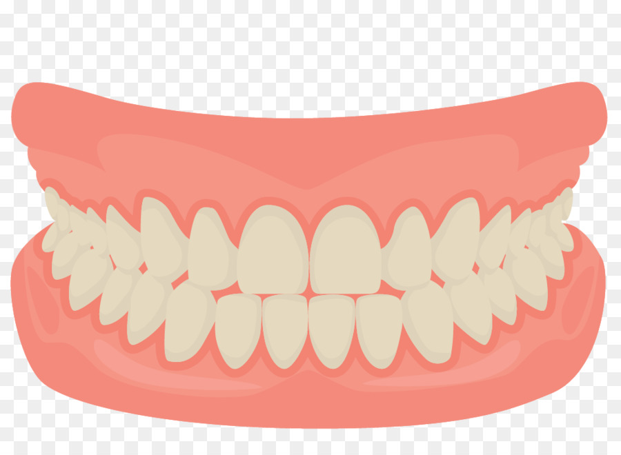 Human tooth Smile Mouth Dentistry - Vector cartoon mouth smiling teeth png download - 1018*724 - Free Transparent  png Download.