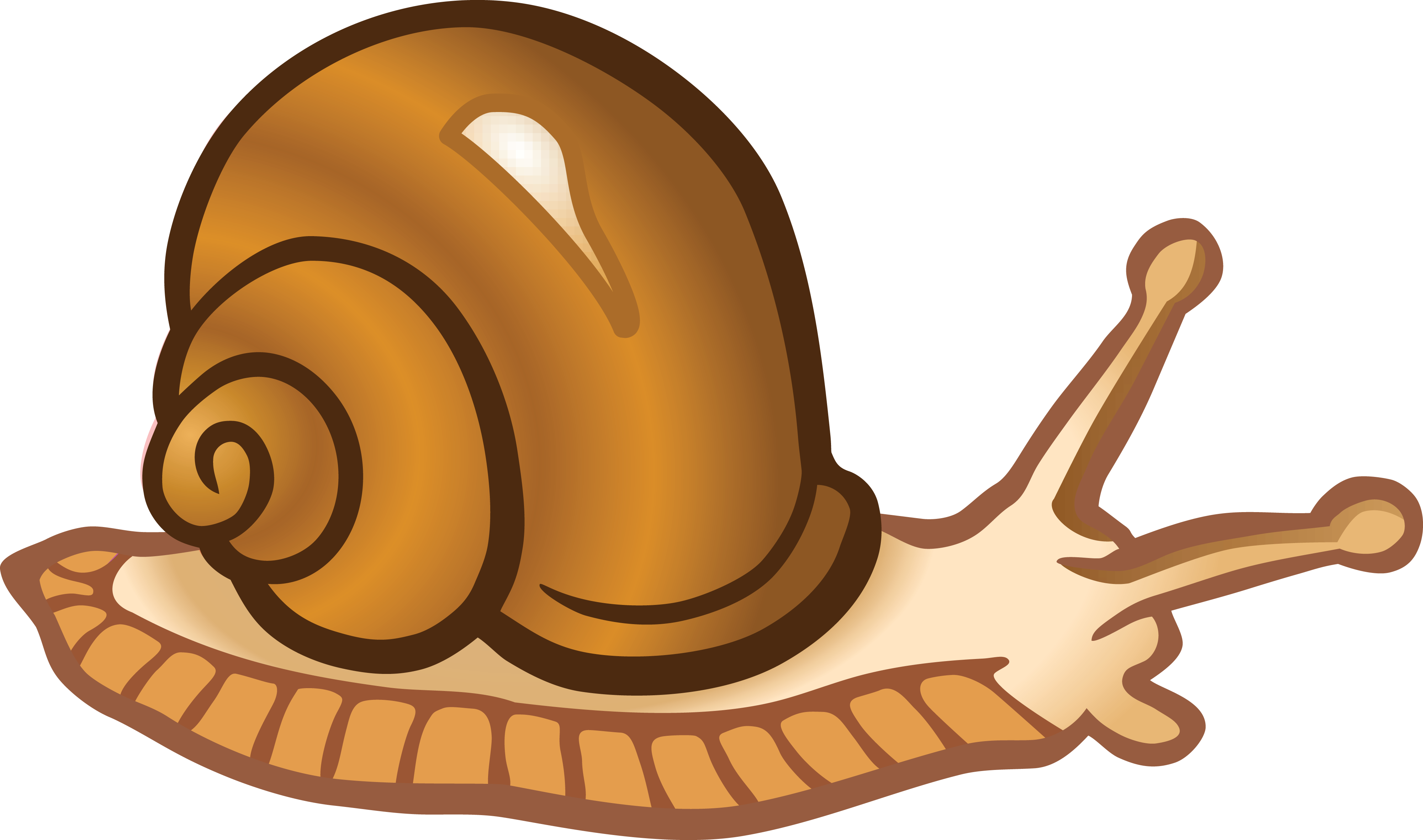 Snail Clip Art Snails Png Download 40002362 Free Transparent
