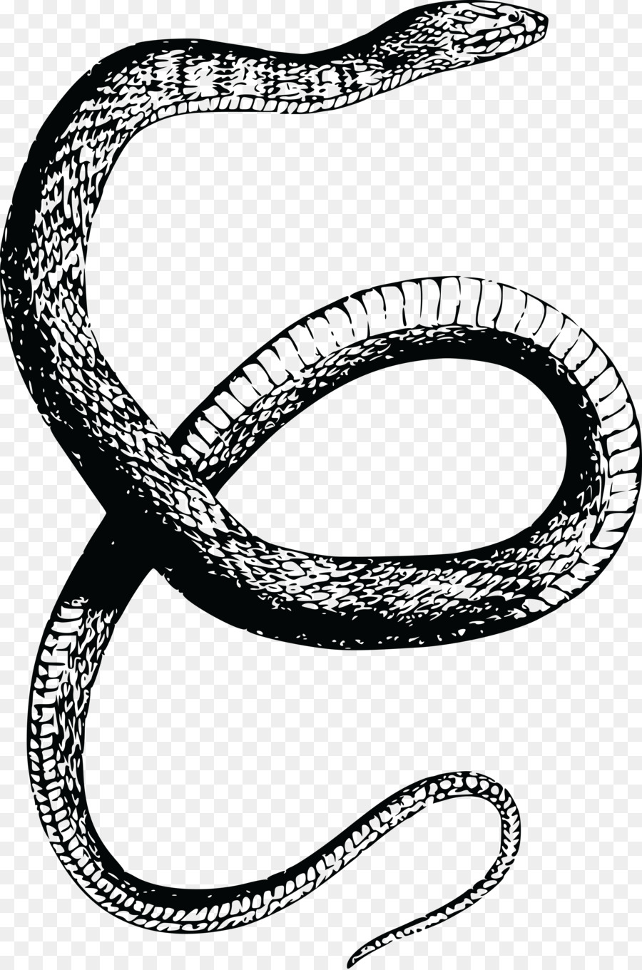 Snake Reptile Vertebrate Drawing Clip art - snake png download - 4000*6034 - Free Transparent Snake png Download.