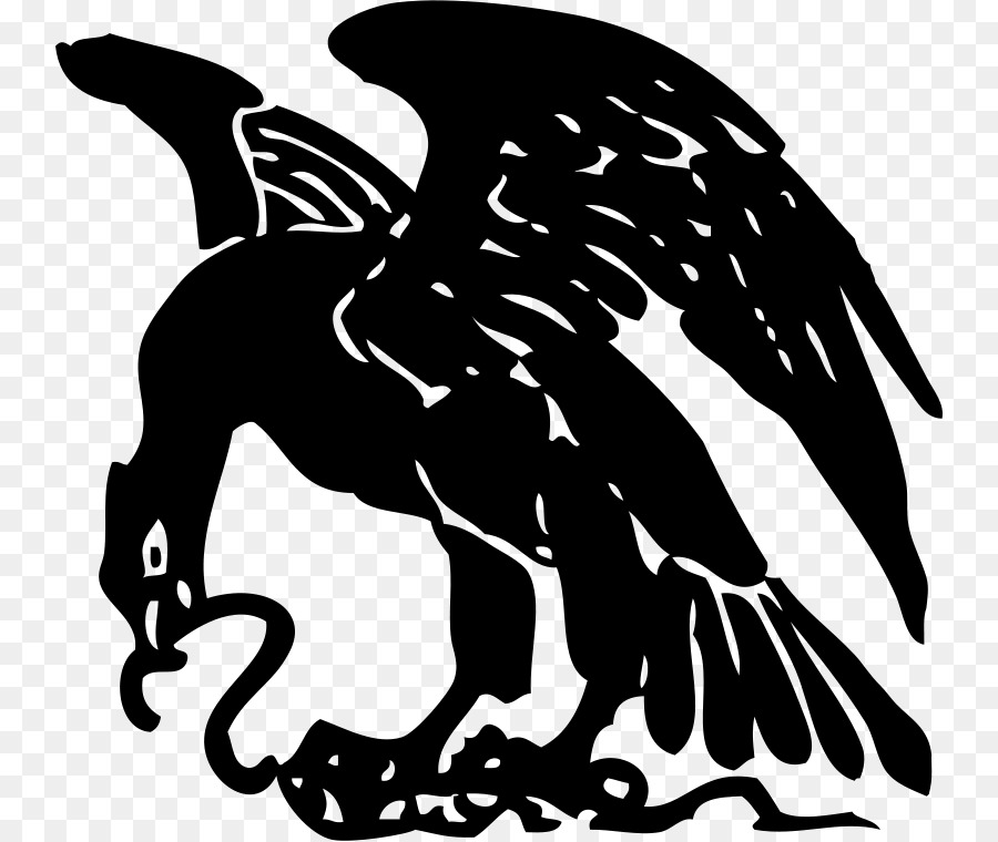 Snake Bald Eagle Symbol Clip art - snake png download - 800*759 - Free Transparent Snake png Download.