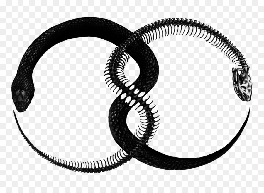 Ouroboros Snake Tattoo Symbol Alchemy - snake png download - 1200*859 - Free Transparent Ouroboros png Download.