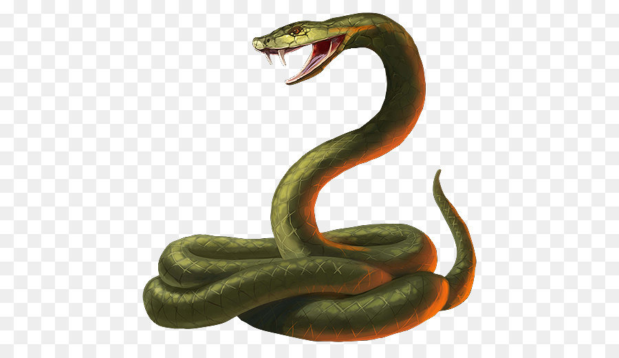 Snake King cobra - Snake Transparent png download - 512*512 - Free Transparent Snake png Download.