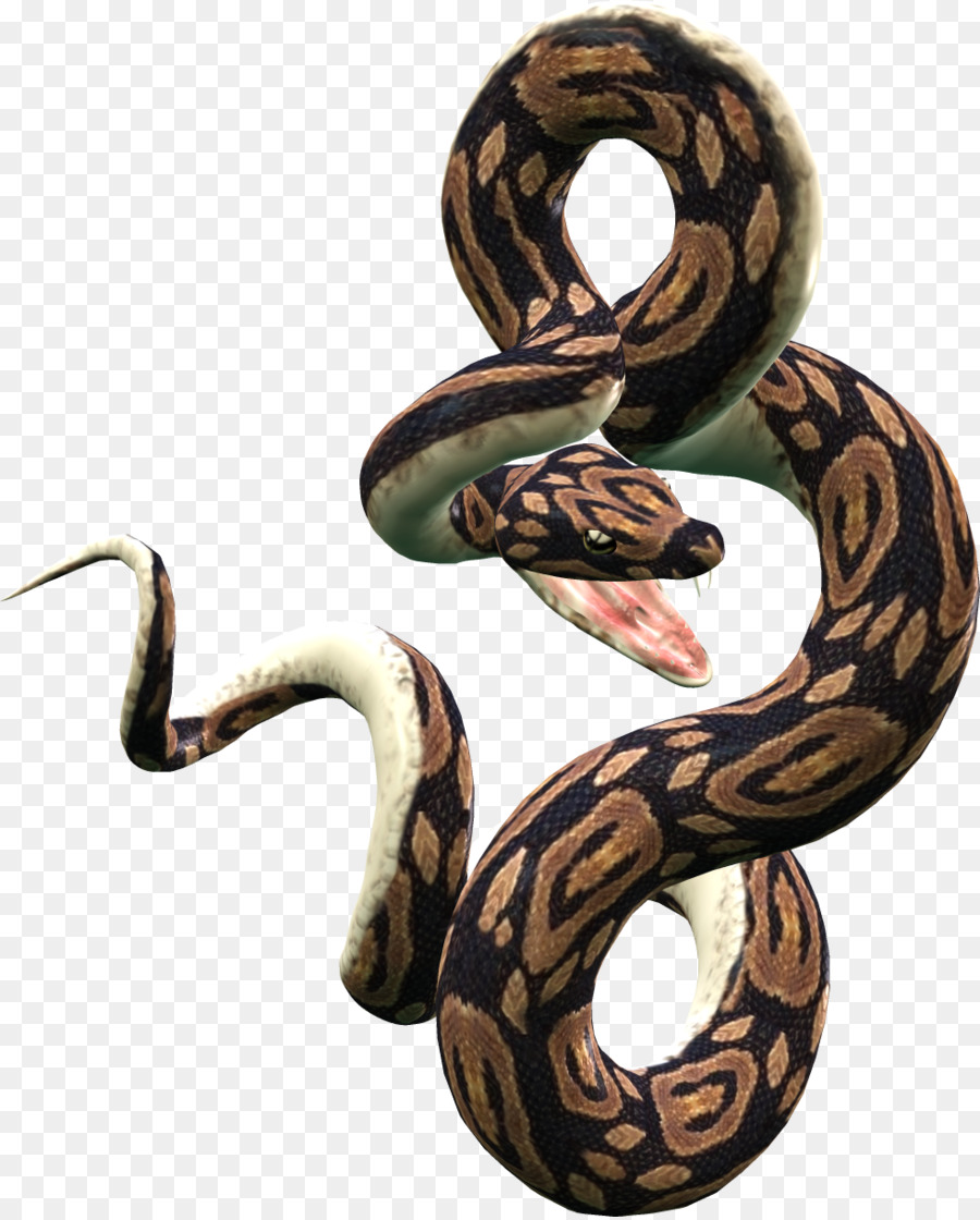Snake Reticulated python Ball python Clip art - snakes png download - 981*1218 - Free Transparent Snake png Download.
