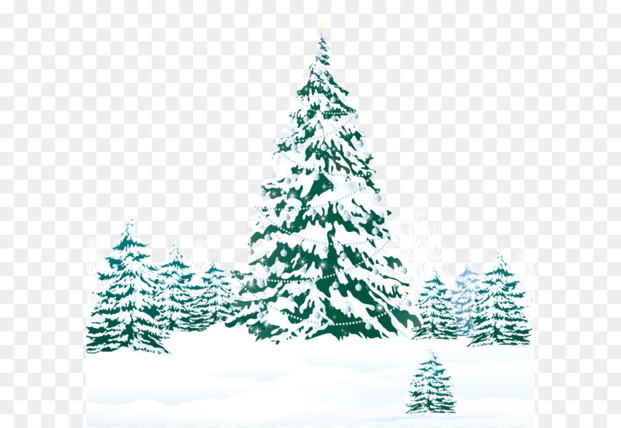 Christmas tree Pine Snow - Snowy Winter Ground with Trees PNG Clipart Image png download - 1263*1202 - Free Transparent Christmas  png Download.