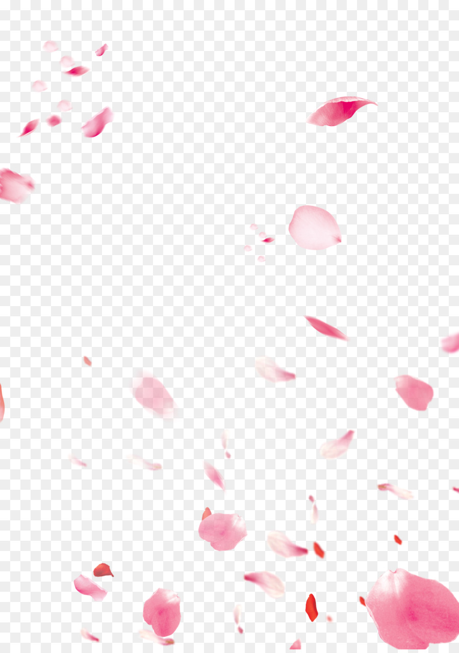 Fundal Download - Peach petals decorated background material png download - 2480*3508 - Free Transparent Fundal png Download.