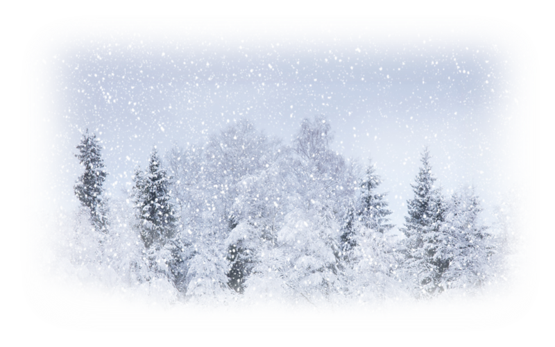 Snow Weather Winter Storm Blizzard Snow Png Download 800500 Free