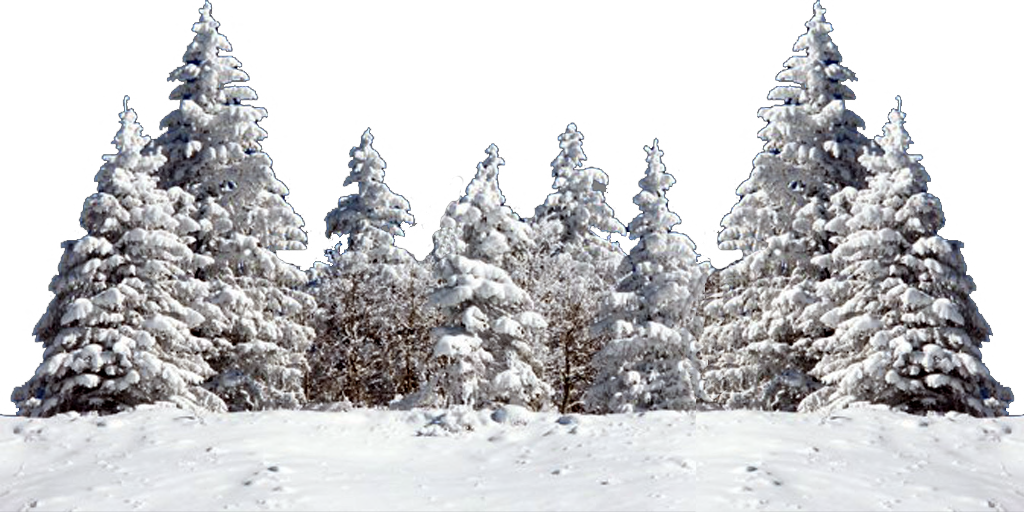 Christmas tree Snow Fir Spruce snow tree png download 1024 512