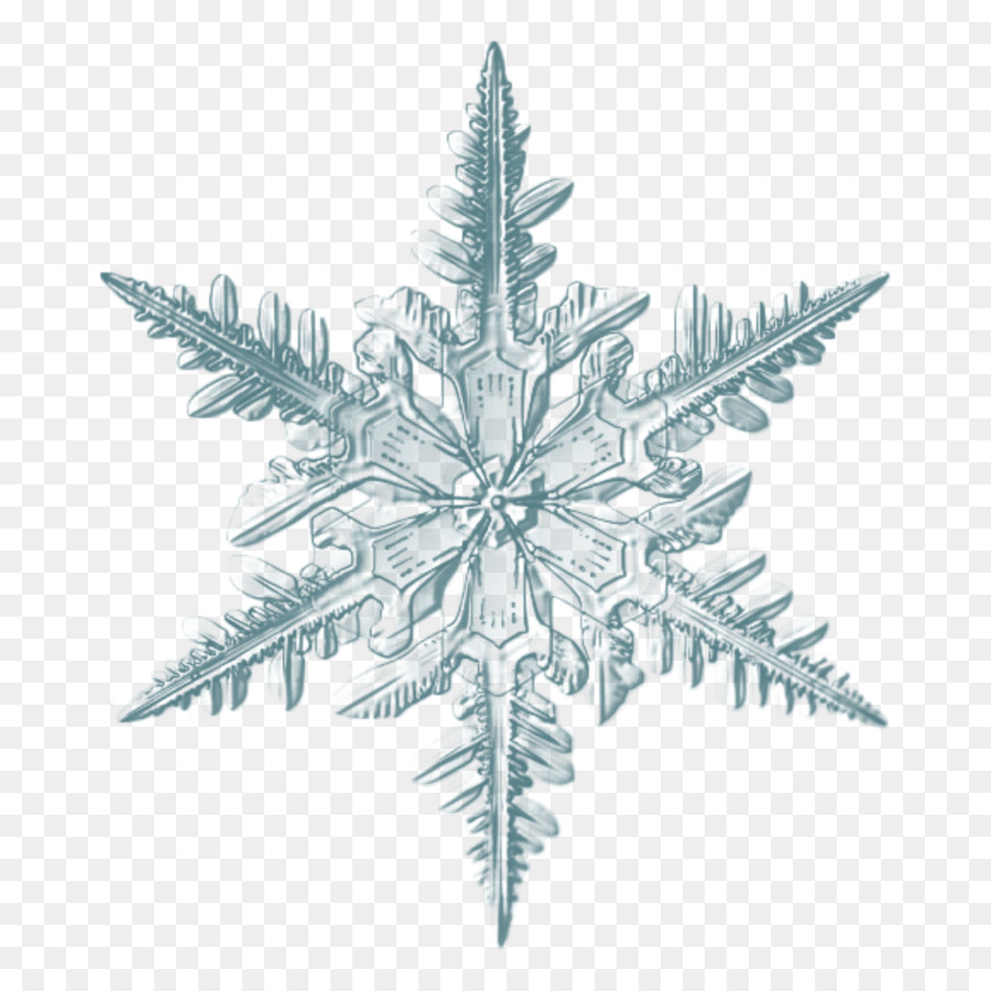 Snowflake Image Microscope Photograph - snowflake png download - 2500*2500 - Free Transparent Snowflake png Download.