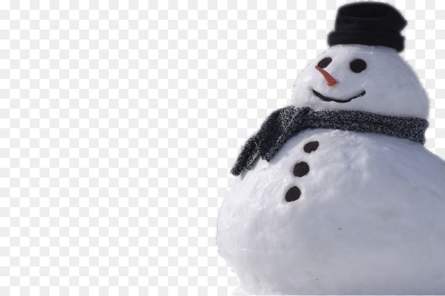 Snowman Clip art - Real Snowman PNG png download - 1600*1064 - Free Transparent Snowman png Download.