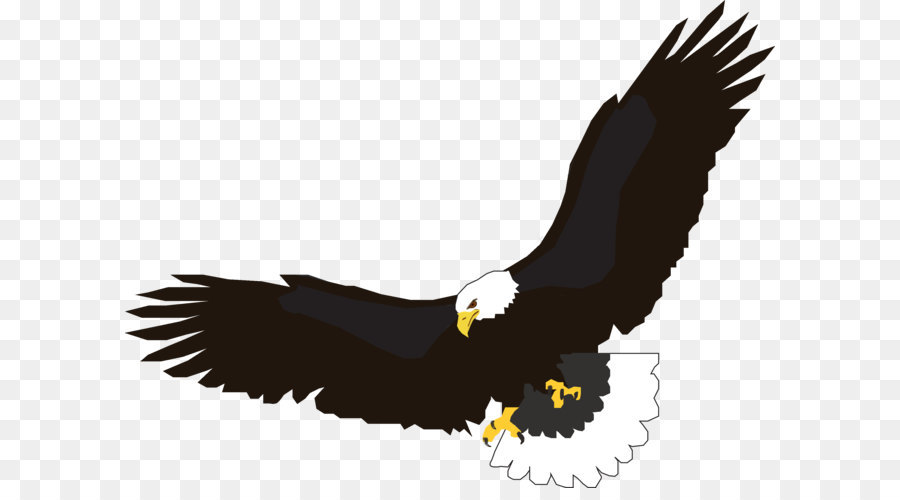 Flight Eagle Clip art - flying eagle PNG image, free download png download - 2906*2182 - Free Transparent Bald Eagle png Download.