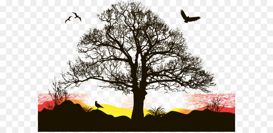 Sunset sunset vector png download - 5833*3914 - Free Transparent Tree ai,png Download.