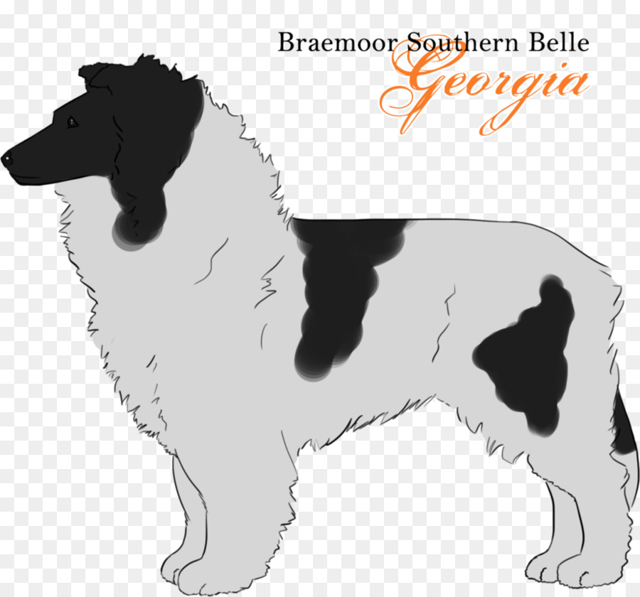 English Springer Spaniel Drentse Patrijshond Stabyhoun Dog breed Puppy - Shetland Sheepdog png download - 925*863 - Free Transparent English Springer Spaniel png Download.
