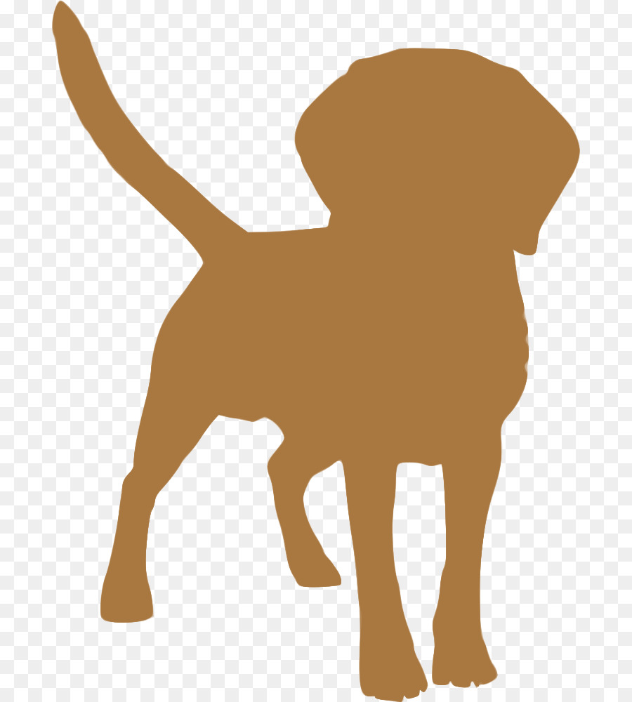 Dog breed Puppy Tibetan Spaniel Tibetan Mastiff English Mastiff - cosmetics album png download - 752*1000 - Free Transparent Dog Breed png Download.