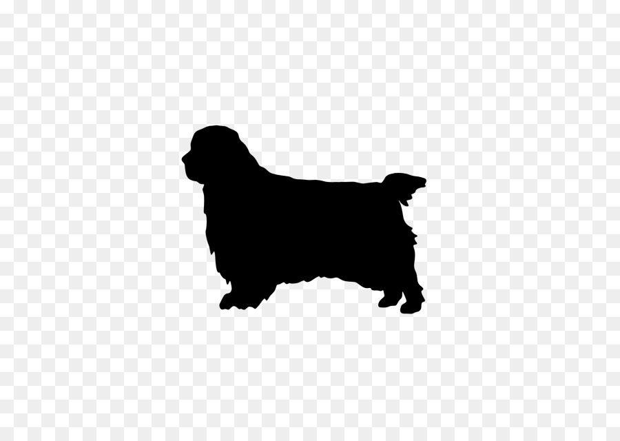 Dog breed Clumber Spaniel English Cocker Spaniel American Water Spaniel - spaniel puppy png download - 640*640 - Free Transparent Dog Breed png Download.