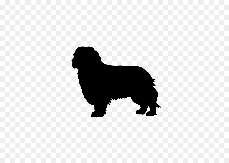 Newfoundland dog Puppy Cavalier King Charles Spaniel Dog breed - Chinese Crested Dog png download - 640*640 - Free Transparent Newfoundland Dog png Download.