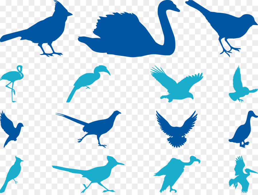 Bird Cygnini Sparrow Goose Beak - Blue Birds Silhouette Vector png download - 2434*1819 - Free Transparent Bird png Download.