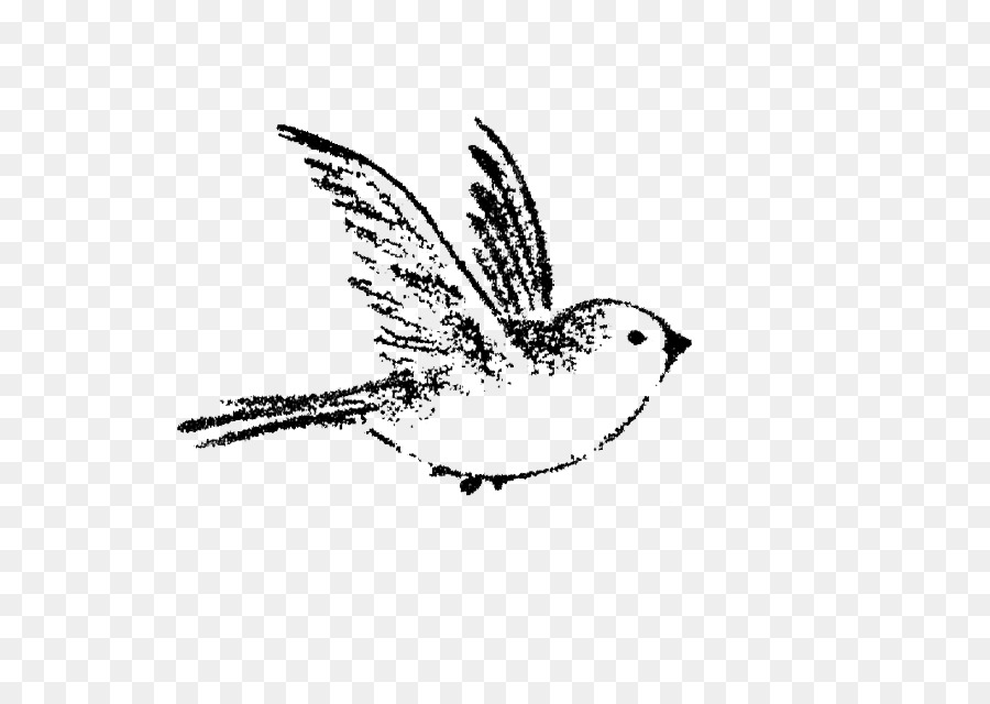 House Sparrow Bird Drawing Tattoo - sparrow png download - 800*629 - Free Transparent Sparrow png Download.