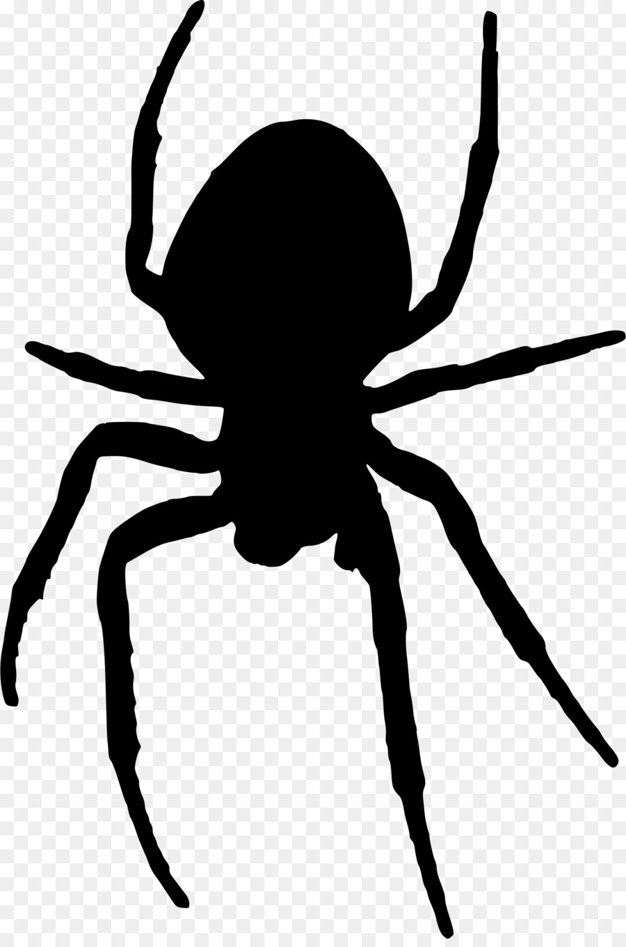 Spider Computer Icons Clip art - spider web png download - 1602*2400 - Free Transparent Spider png Download.
