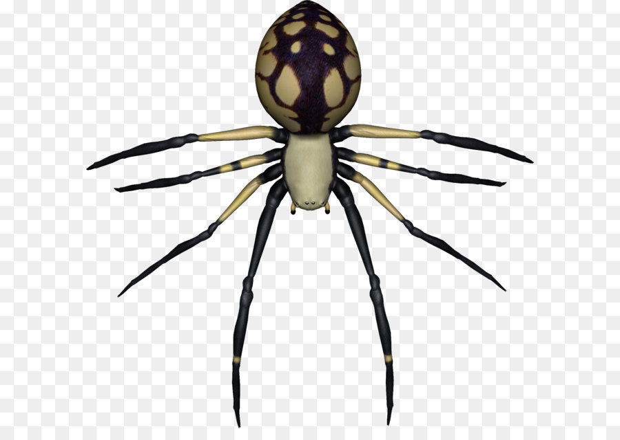 Spider Clip art - Spider PNG image png download - 1835*1760 - Free Transparent Spider png Download.