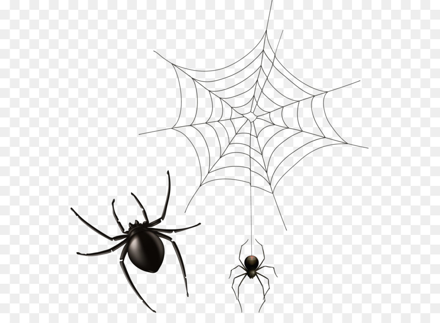 Spider web Icon Wiki Computer file - Spider and Cobweb PNG Clipart Image png download - 5087*5148 - Free Transparent Spider png Download.