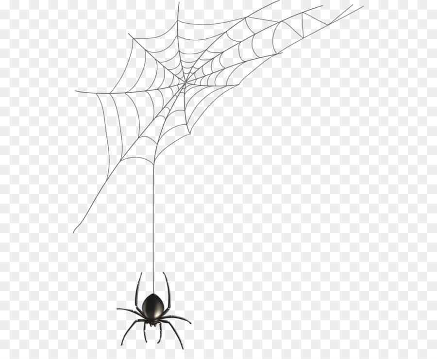 Spider web Clip art - spider png download - 600*721 - Free Transparent Spider png Download.