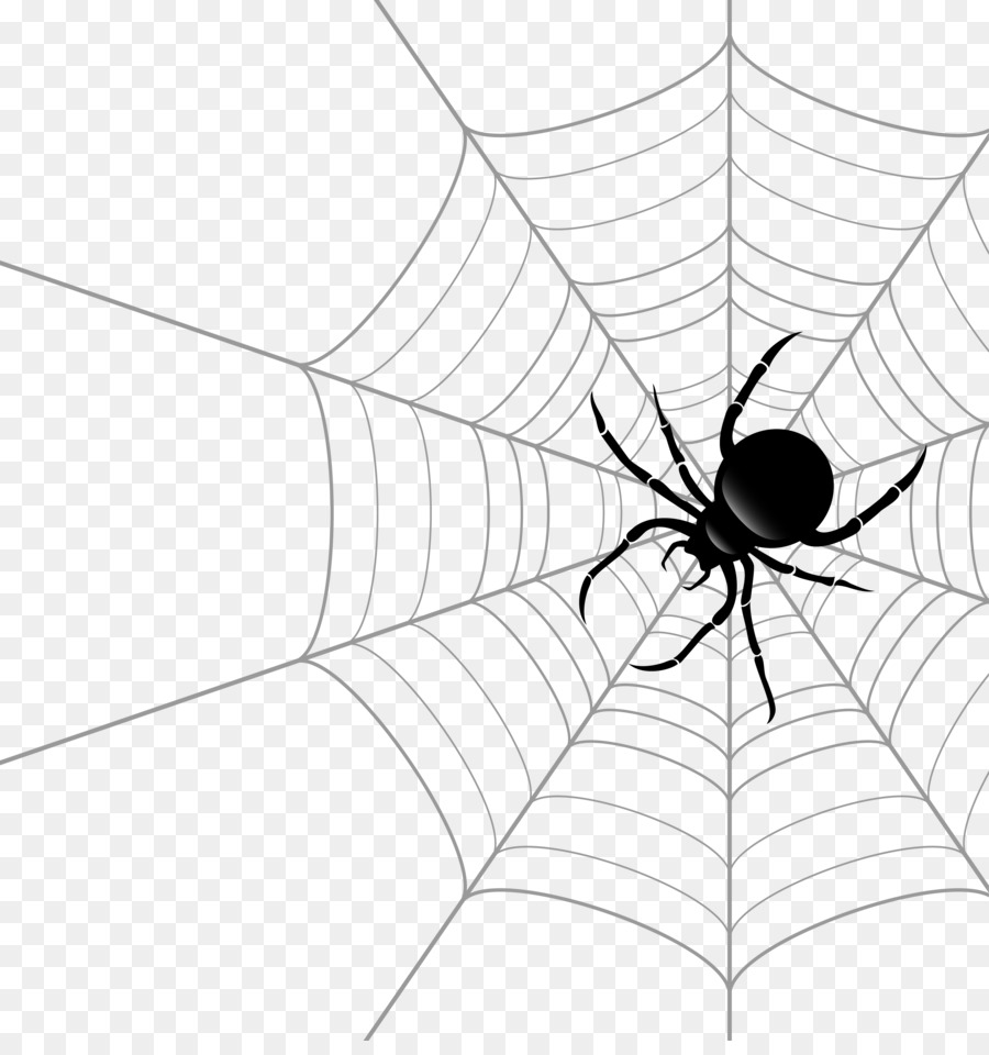 Spider web Theridiidae Euclidean vector - Vector spider web png download - 2688*2829 - Free Transparent Spider Web png Download.