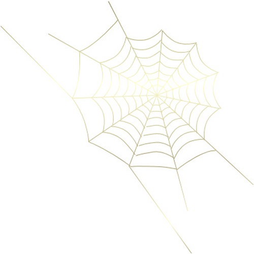 Паутина картинка на белом фоне