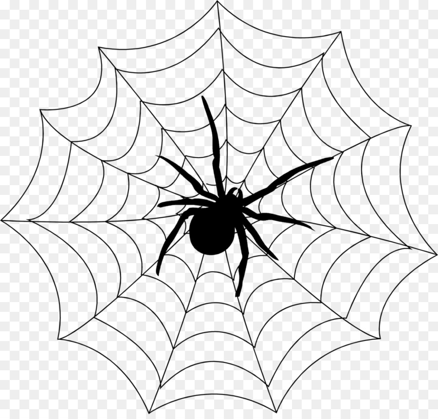 Spider web Spider monkey Spinneret Clip art - spider web png download - 958*905 - Free Transparent Spider png Download.