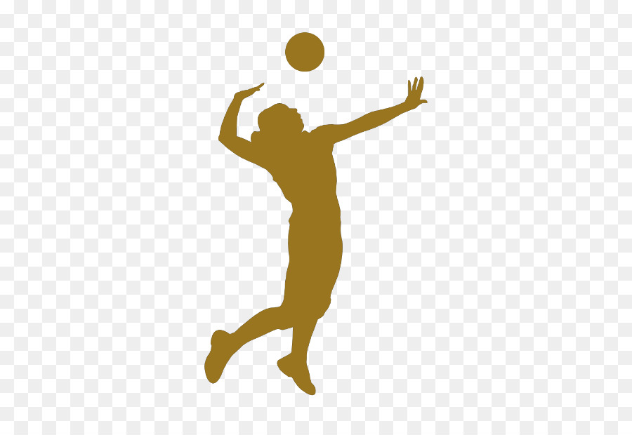 Volleyball Sport Silhouette - volei png download - 450*607 - Free Transparent Volleyball png Download.