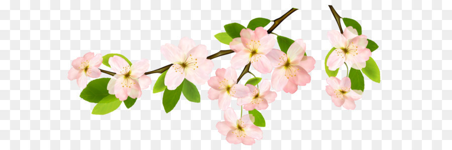Clip art - Spring Branch PNG Clipart Picture png download - 4596*2114 - Free Transparent Spring png Download.