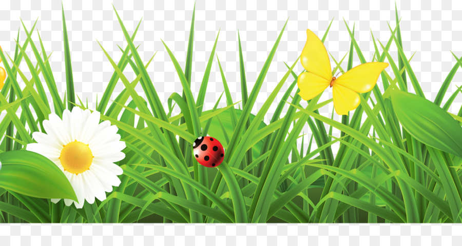 Vector graphics Spring Flowers Galore & More Florist Illustration - grass border png texture png download - 1200*630 - Free Transparent Spring png Download.