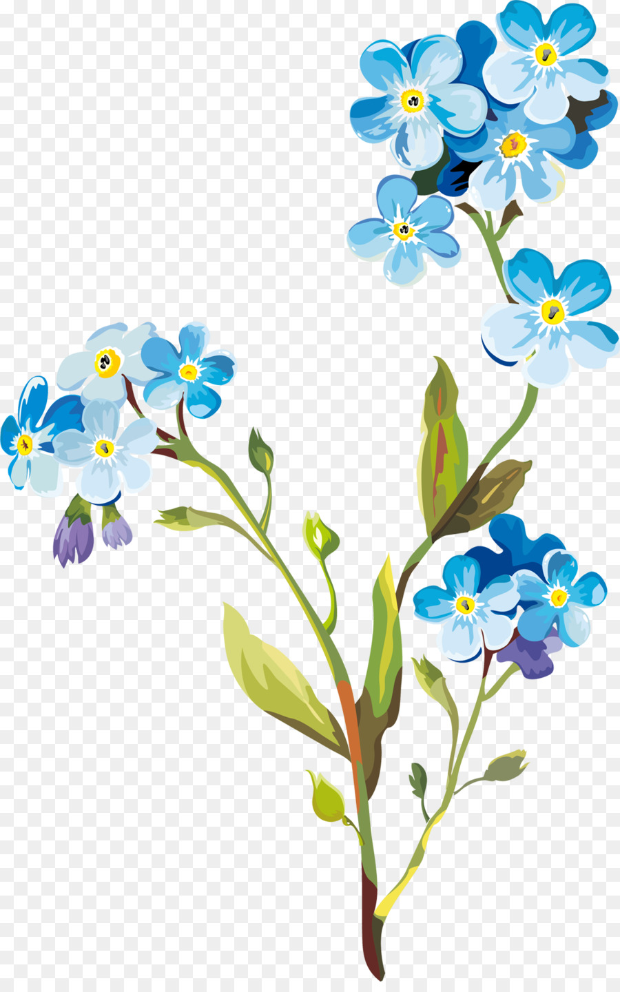 Flower Drawing Clip art - spring flowers png download - 1137*1800 - Free Transparent Flower png Download.