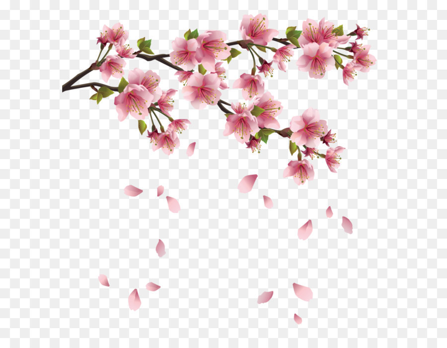 Petal Clip art - Beautiful Pink Spring Branch with Falling Petals PNG Clipart png download - 928*984 - Free Transparent Flower png Download.