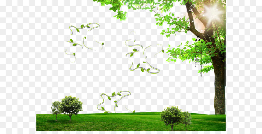 Photography - Spring poster background effect png download - 1500*1036 - Free Transparent Tree png Download.