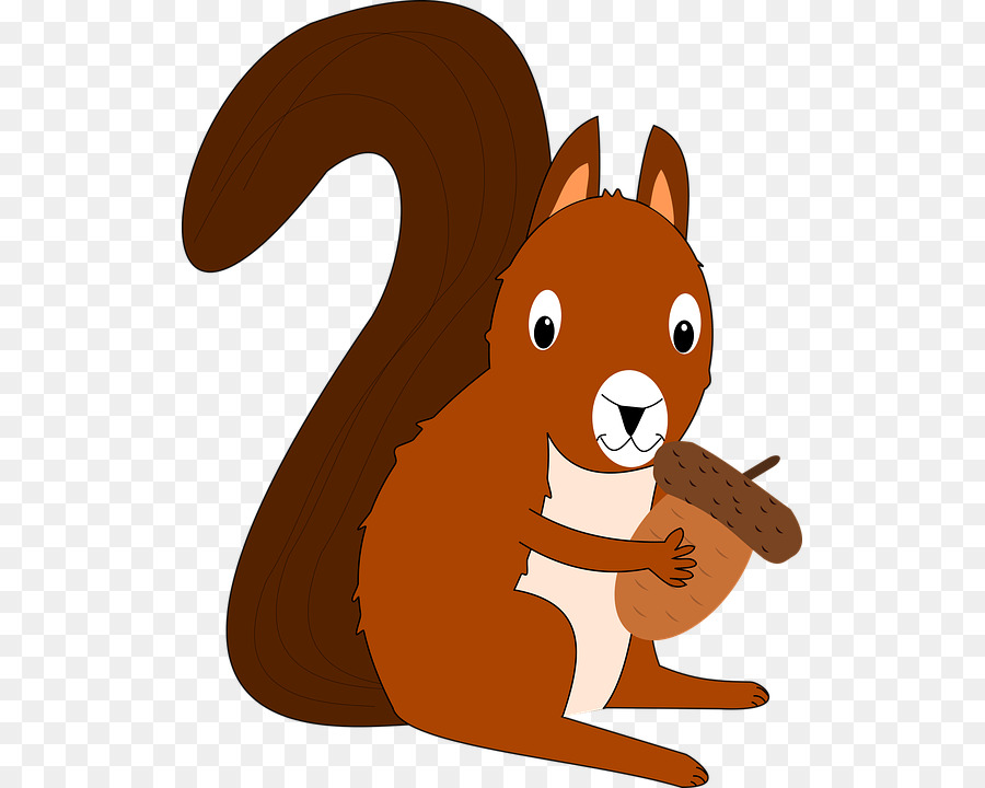 Clip art Squirrel Image Portable Network Graphics Vector graphics - squirrel png download - 567*720 - Free Transparent Squirrel png Download.