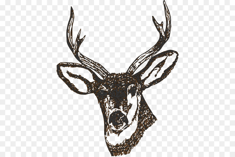 White-tailed deer Clip art - stag head png download - 468*598 - Free Transparent Deer png Download.